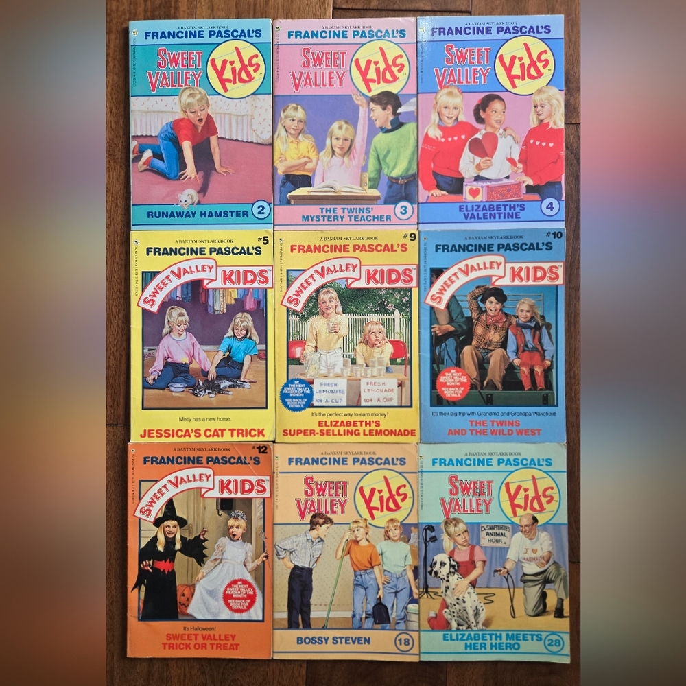Sweet Valley Kids books lot